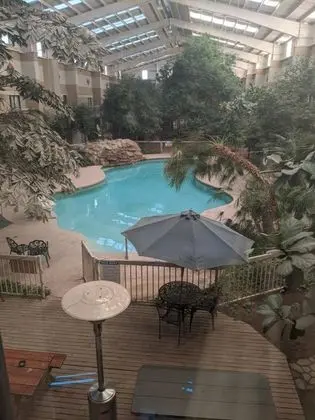 Atrium Inn - Havuz