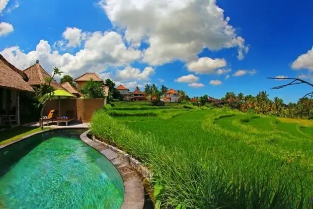 Atta Mesari Resort & Spa - Havuz