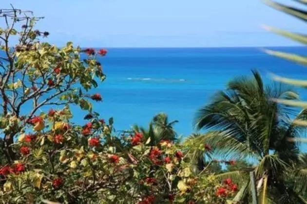 Attractive 2-bed Apartment, Stunning sea View - Plaj