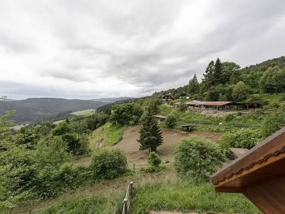 Attractive Apartment in Forest in Liebenfels With Garden