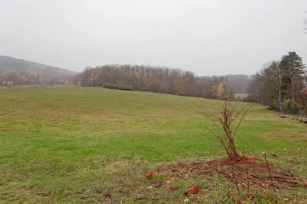 Attractive Bungalow in Ilsenburg With Private Terrace - Genel