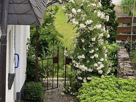 Attractive Holiday Home in the Sauerland Region - Wood Stove and a Terrace