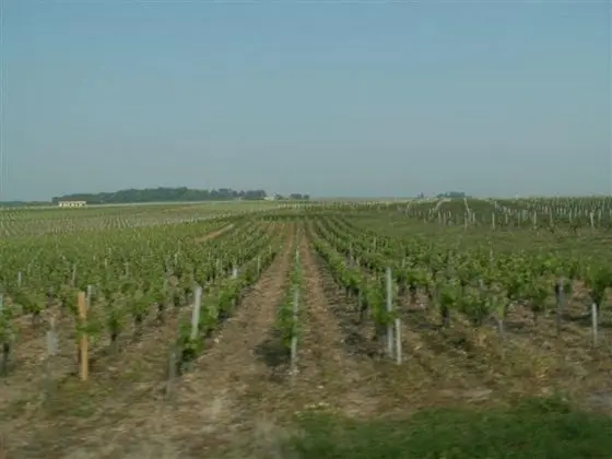 Au Coeur du Médoc
