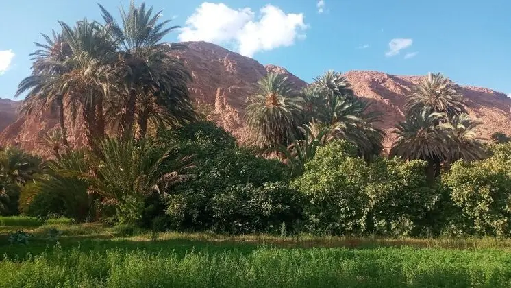 Auberge Ali