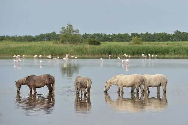 Auberge Cavaliere du Pont des Bannes