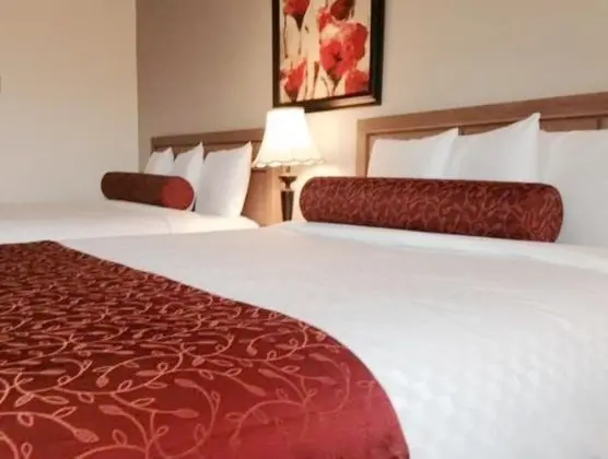 Auberge Du Grand Lac - Öne Çıkan Resim