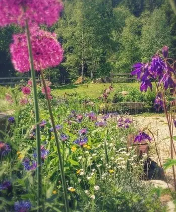 Auberge Nemoz - Dış Mekan