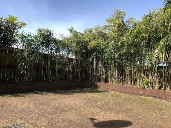 Auckland GQ Holiday Home - Dış Mekan