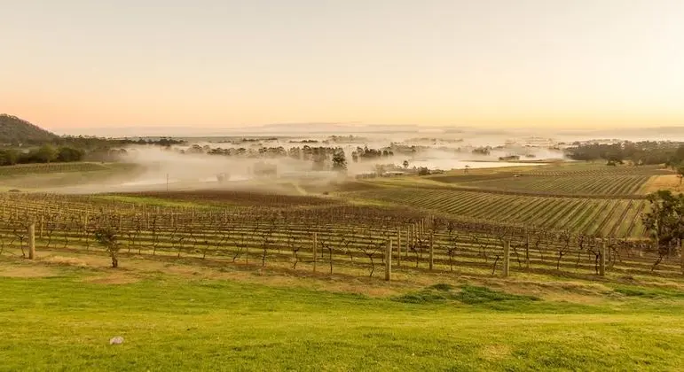 Audrey Wilkinson Vineyard - Dış Mekan