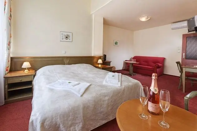Hotel Augustus et Otto - Oda