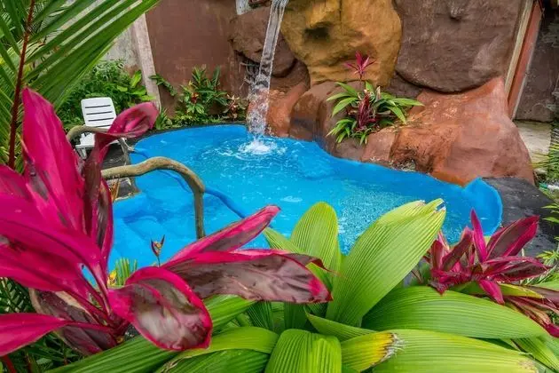 Aunty Arenal Lodge - Havuz