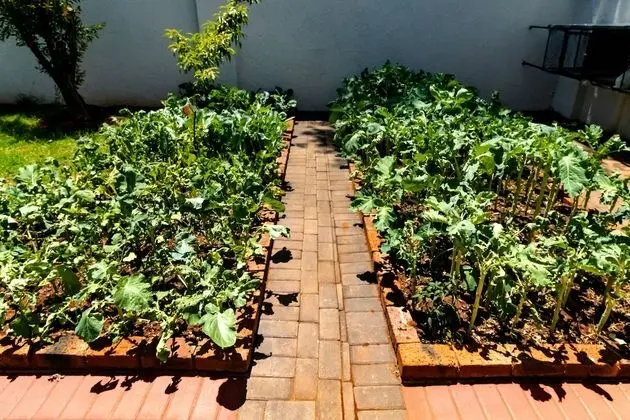 Aura Guest House - Dış Mekan