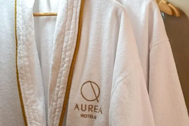 Áurea Casa Palacio Sagasta By Eurostars Hotel Company - Spa