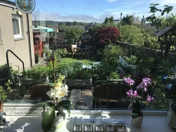 Aurora Guest House - Dış Mekan