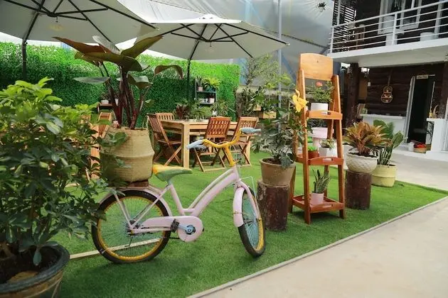 Aurora Homestay - Hostel - Öne Çıkan Resim