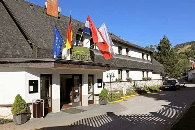 Hotel Aurum Černý Důl - Dış Mekan