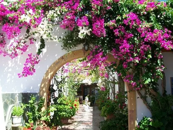 Australis Hotel - Dış Mekan