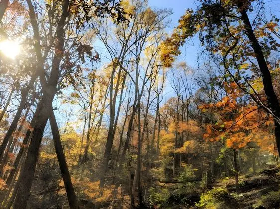 Autumn Wings - Dış Mekan
