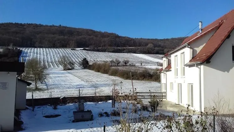 Aux vignes - 1