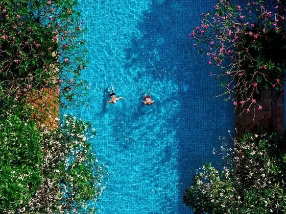 Avalon Beach Resort - Havuz