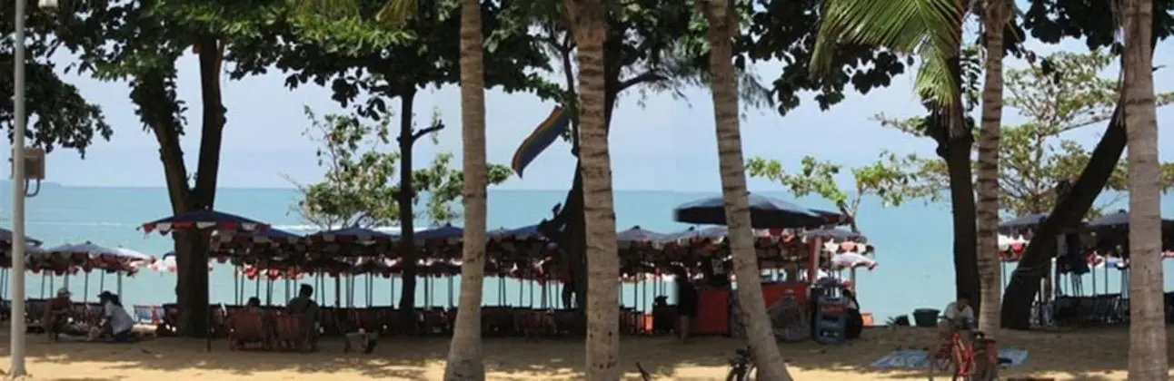 Avalon Beach Resort - Plaj