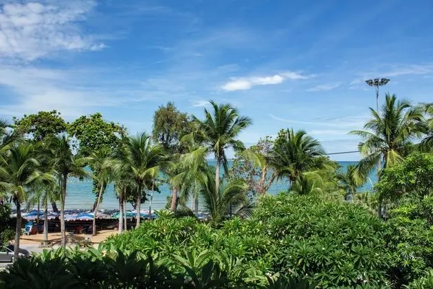 Avalon Beach Resort - Plaj