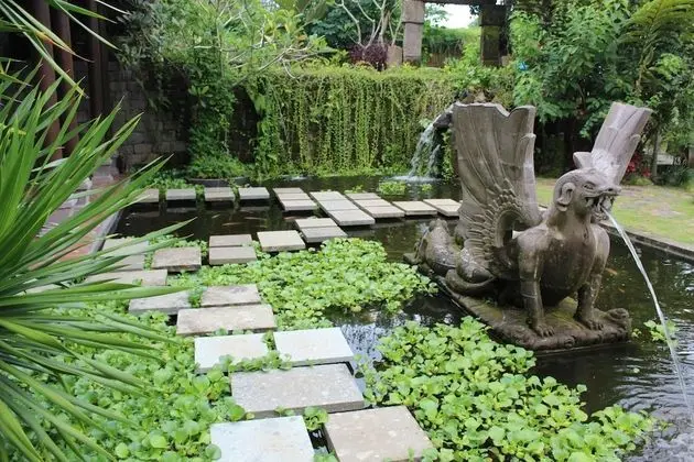 Avalon Ubud Villas - Havuz