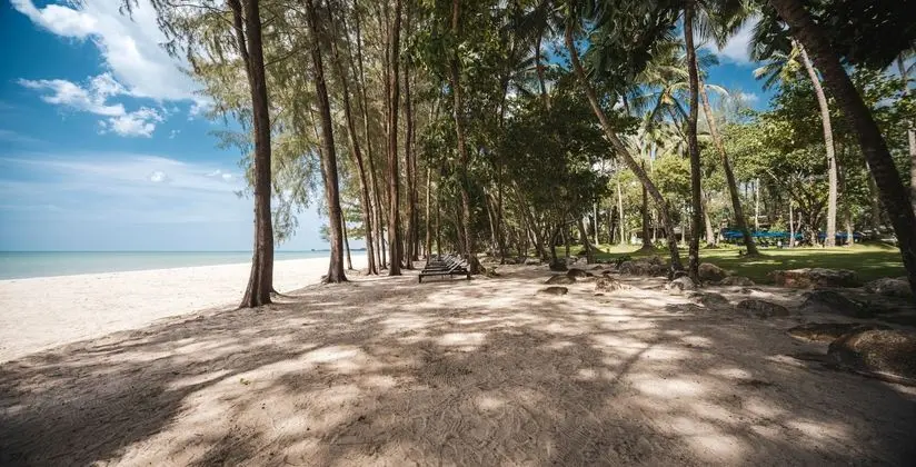 Avani+ Khao Lak Resort - Plaj