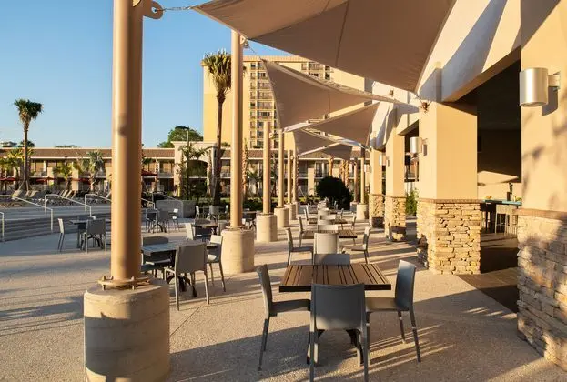 Avanti Palms Resort and Conference Center - Havuz