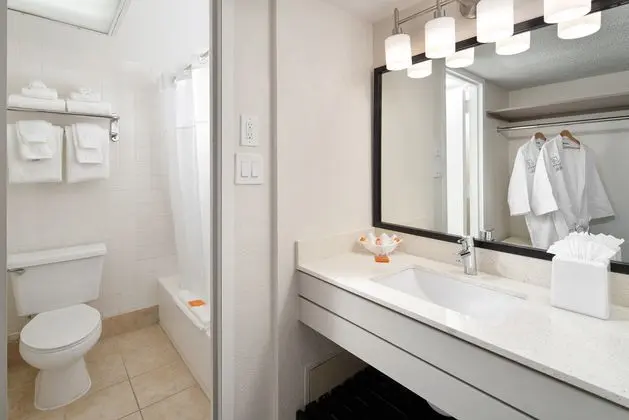 Avanti Palms Resort and Conference Center - Oda