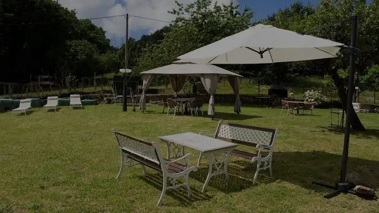 Hotel Avelina - Dış Mekan