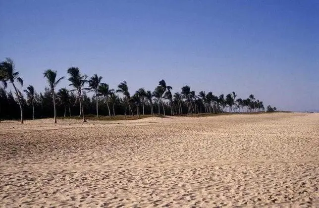 Avenida - Plaj