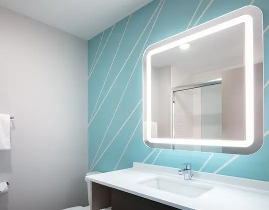 avid hotel Roseville - Minneapolis North, an IHG Hotel - Banyo Tipleri