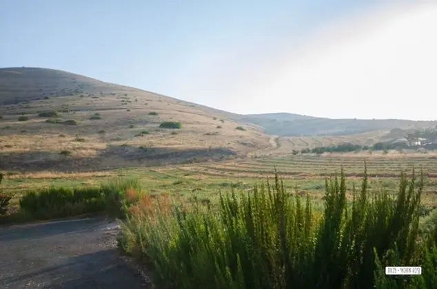 Avigail Guest House - Dış Mekan
