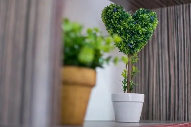 Avra Comfort Rooms- Family - İç Mekan