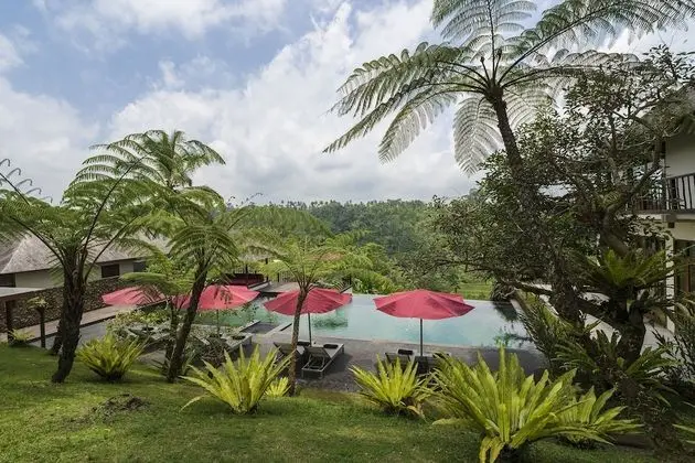 Awan Biru Villas - Havuz
