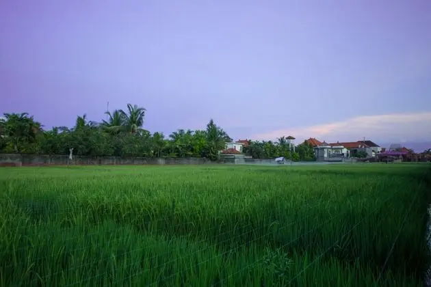 THE AWANDARI VILLAS SEMINYAK