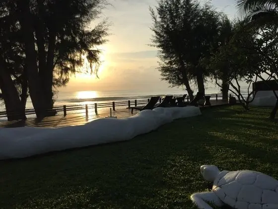 Away Las Tortugas Beachfront - Dış Mekan