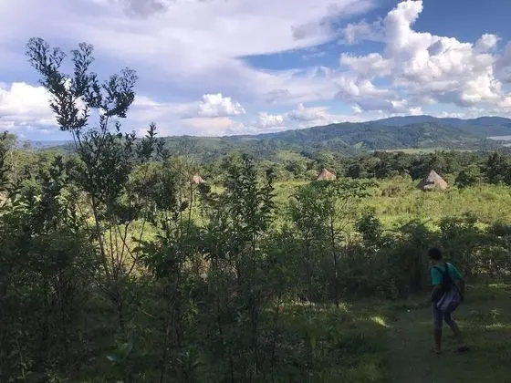 Ayahuaska
