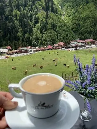 Ayder Villa de Pelit Hotel - Oda Düzeni