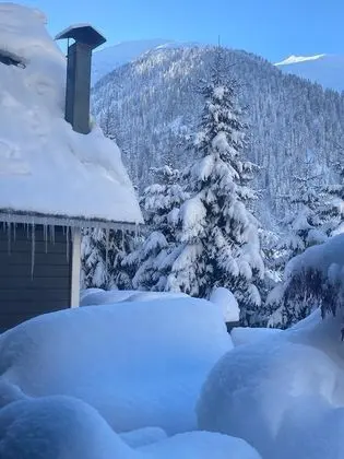 Ayder Guven Dag Evi - Oda