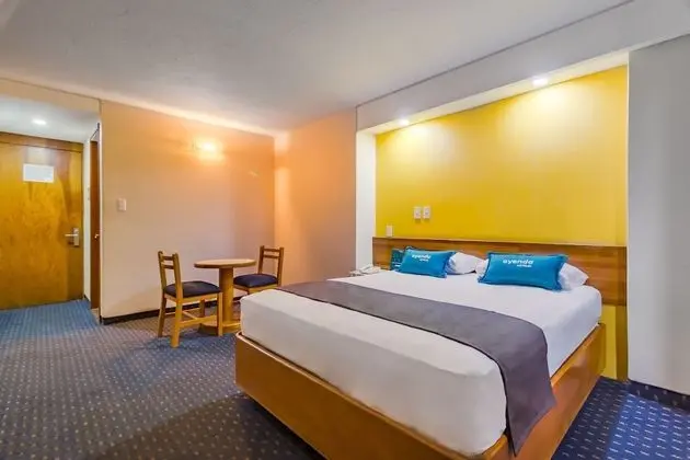Ayenda Hidalgo - Öne Çıkan Resim