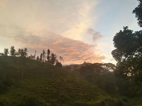 Ayubo Ella
