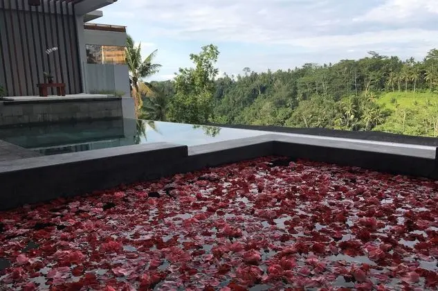 Ayuterra Resort - CHSE Certified - Spa