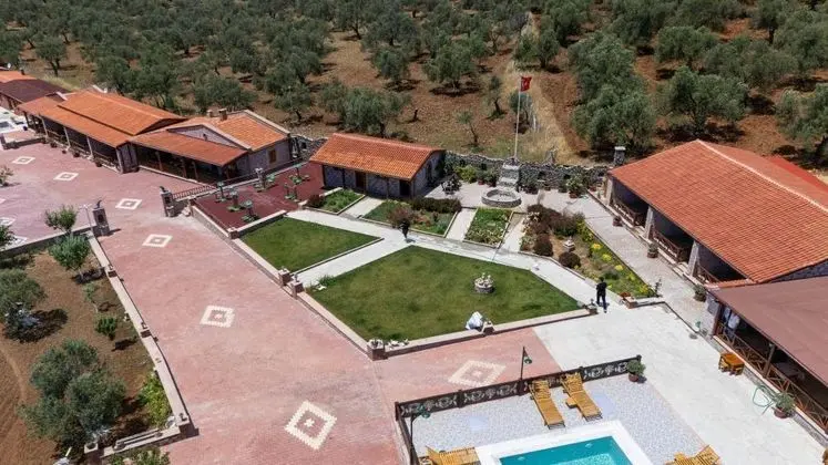 Ayvalık Yeşil İnci