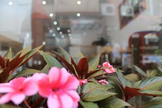 Ayyildizlar Hotel - Yerinde Yemek