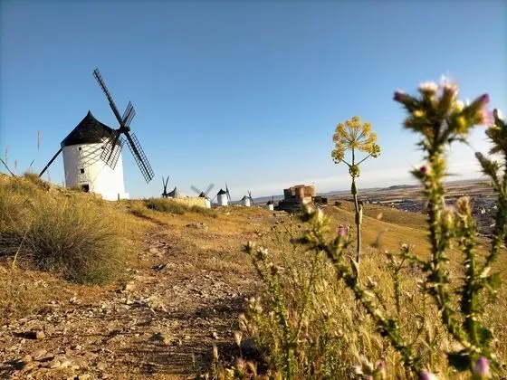 Azafrán Consuegra Casa Rural