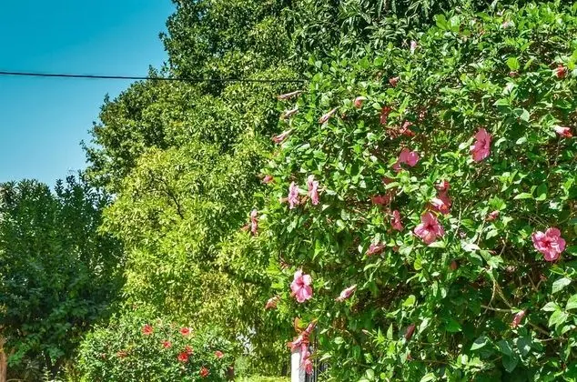 Azahar Apartamentos Heliópolis II - Dış Mekan