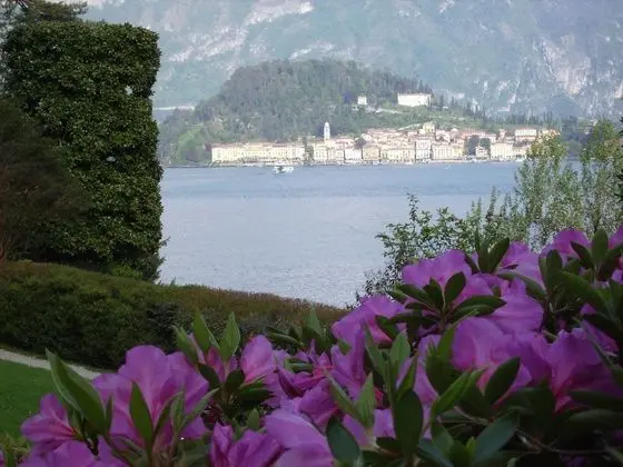 Azalea & Glicine House