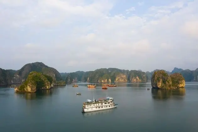 Azela Cruise